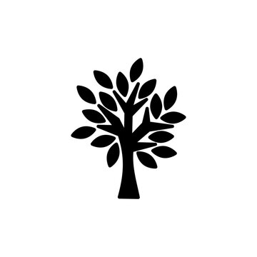 The Bodhi tree silhouette icon template.