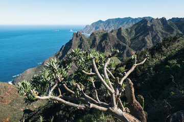 Landscape with north coast Anaga in Tenerife, Canary Islands, Spain