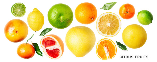 Different citrus fruits set. PNG with transparent background. Flat lay. Without shadow.
