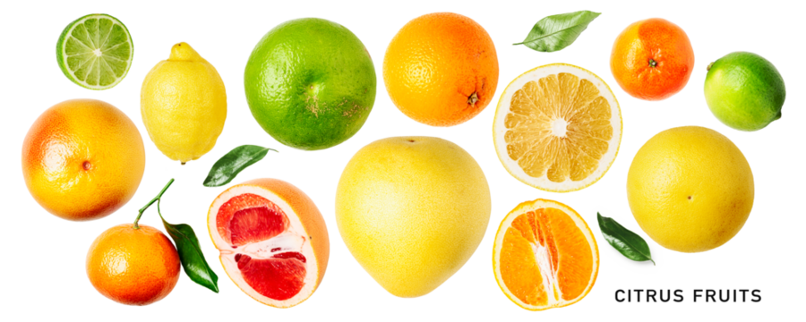 Different citrus fruits set. PNG with transparent background. Flat lay. Without shadow.