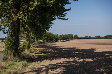 Climate change - Klimawechsel 