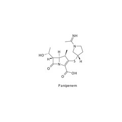 Panipenem  flat skeletal molecular structure Carbapenem drug used in bacterial infection treatment. Vector illustration.