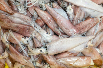 Many squids in a box for sale at the fish market in Acre Israel