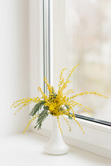 Bouquet of yellow mimosa flowers on a white windowsill during the day