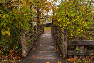 Fall Colors Beyond Larwood Covered Bridge in Linn County, Oregon 