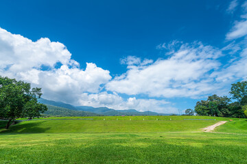 A public place leisure travel wide lawn and big tree landscape at Park to relax with in nature forest Mountain views spring cloudy sky background with white cloud in Chiang Mai University.