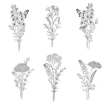  A set of bouquets of wild flowers. Botanical clip art. Wildflowers wreath skethc.Vector  Line drawn leaves and branches.Vector flowers. Floral decor.