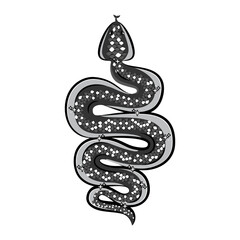 Snake Vector, Snake Logo, Snake Icon, Snake Illustration, Desert Snake, Snake Coiled, Wildlife Snake, Boa Constrictor, Snake Tattoo, Vector Illustration Background
