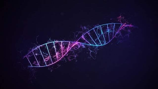 Full DNA shape spinning and small molecule spread out from it with 3d rendering.Full color particles simulation visual effect.