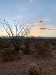 Desert Views in the fall