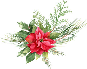 Watercolor Christmas floral bouquet. Hand drawn botanical winter plants. Poinsettia flower, fir pine branches, holly berries,, cone, cotton ball for holiday invitation, card design