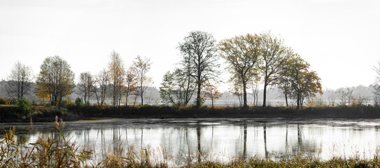 panorama drzewa nad wodą jeziorem - obrazy, fototapety, plakaty