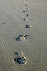 fussspuren im sand
