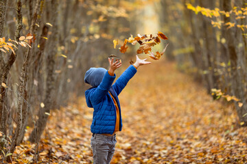 Happy little boy playing in beautiful autumn park on warm sunny fall day. Kids play with golden maple leaves. Autumn foliage