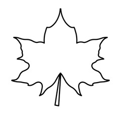 Leaf. Outline drawing of a plant on a white background.