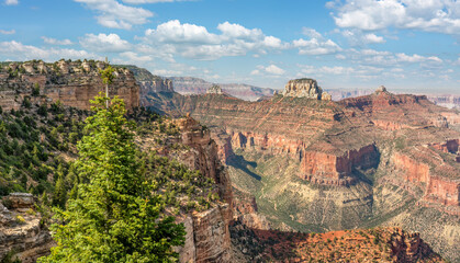 Fototapeta na wymiar Cape Final - Grand Canyon National Park - North Rim 