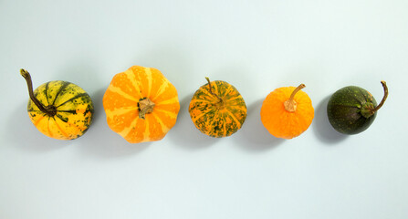 Set of decorative pumpkins on a gray background.Creative Top view flat lay autumn composition. Template fall harvest thanksgiving halloween anniversary invitation  greeting cards. 