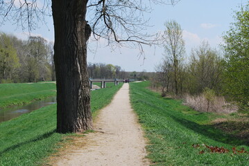 a river with embankments, trees, buildings in the background, a tree in the foreground