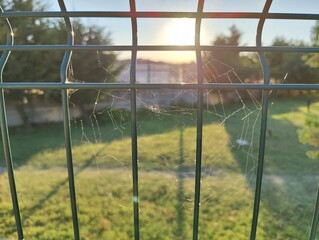 a view of the setting sun behind a wire fence. romantic