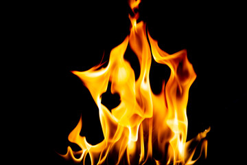 flames fire on a black background