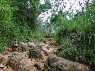 Avila national Park (Waraira Repano), Caracas, Venezuela: mountain trekking route surrounded by vegetation up to 