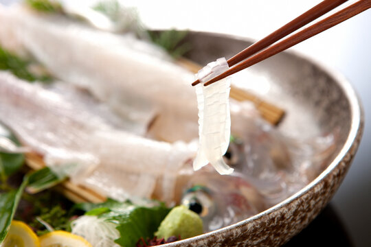 和食・イカの活き造り・刺身