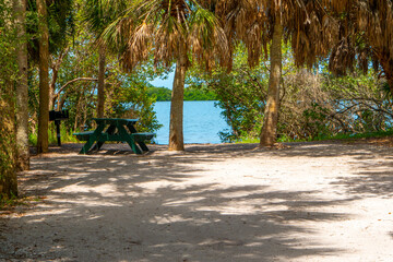 Gorgeous Florida rv camp site by the water and beach on the sand with palm trees