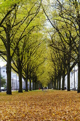 Der Herbst in Altona in Hamburg