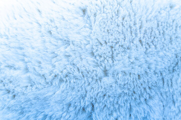 Blue sheep fur. Natural sheepskin rug background. Wool texture