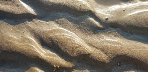 Sandy Beach Texture
