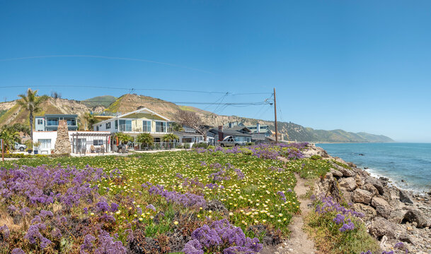 scenic landscape with blooming spring flowers at the coast and houses at national highway No. 1 in Big Sur area in California