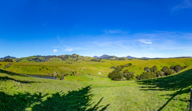 scenic landscape at Cambria, Cabrillo Highway, Big Sur, California