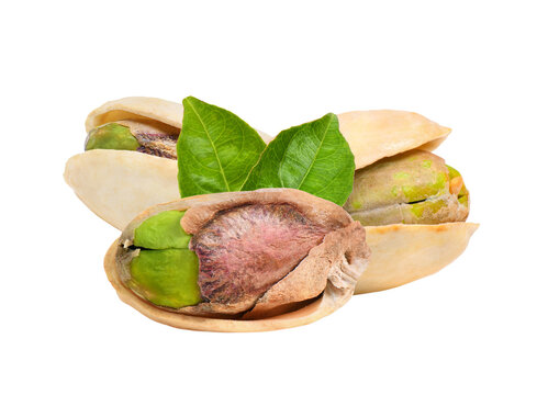 Pistachios with leaf isolated on  transparent png