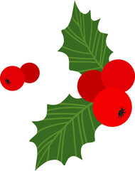 Christmas holly berry, red ilex branch, mistletoe and leaf vector icon, cartoon xmas plant. Holiday nature illustration