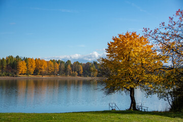 autumn landscape with trees and lake, Liptovsk&aacute; Mara, Liptov, Slovakia