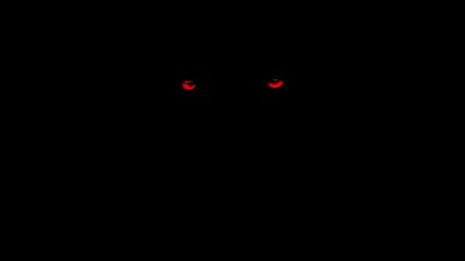 Scary Red Animal Eyes In The Dark Predator Animal
