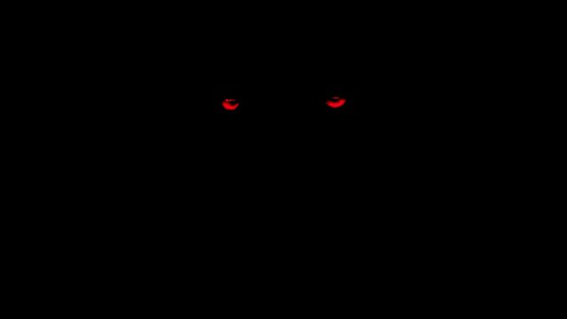Scary Red Animal Eyes In The Dark Predator Animal