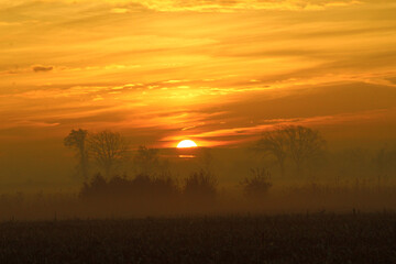 sunrise over the field