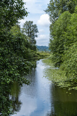 beautiful waterway lead to nearby lake with trees cover on both sides under the cloudy blue sky - 542833133