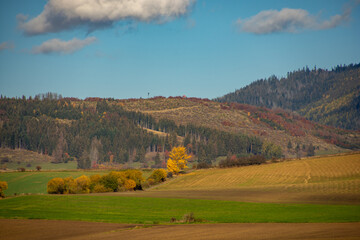 autumn landscape with forest, West Tatras, Liptov, Slovakia