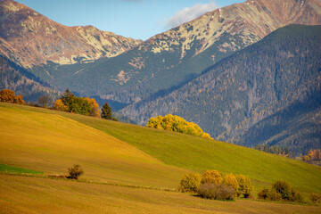 autumn in the mountains, West Tatras, Liptov, Slovakia