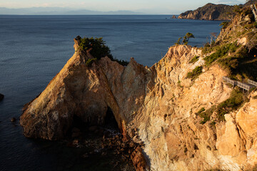 自然が作った馬