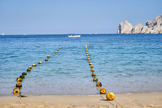Bollas y el mar