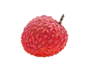 Lychee tropical fruit isolated on transparent png
