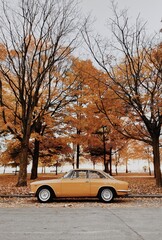 Vintage Autumn