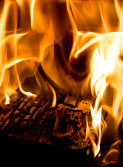 tronco ardiendo, fuego, llamas