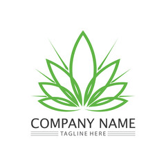 cannabis logo and marijuana leaf icon vector