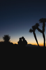 Sunset over Joshua Tree National Park, California!