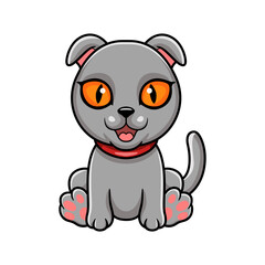 Cute scottish fold cat cartoon