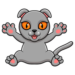 Obraz premium Cute scottish fold cat cartoon